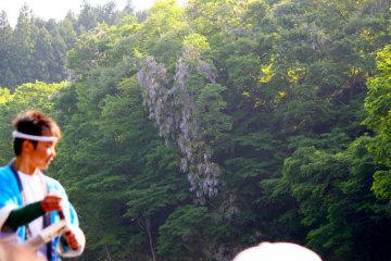 Do you see the Wisteria? The branches in full bloom were shaped liked a heart.