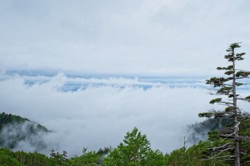 Sea of clouds