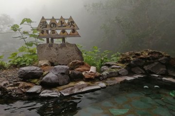 The misty atmosphere in the forest makes the experience even more amazing