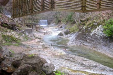 Looking upstream