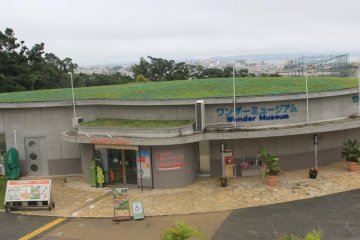 Wonder Museum