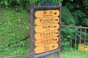 <p>Il y a 194 esp&egrave;ces diff&eacute;rentes au Zoo d'Okinawa</p>
