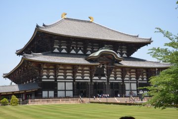 奈良大佛之旅