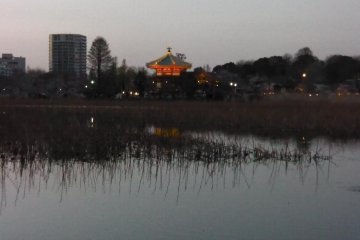A quiet evening after a busy day