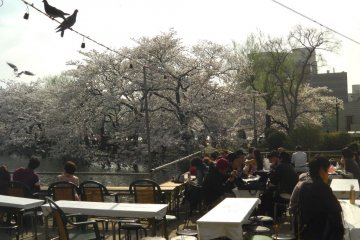 Lunch with a view