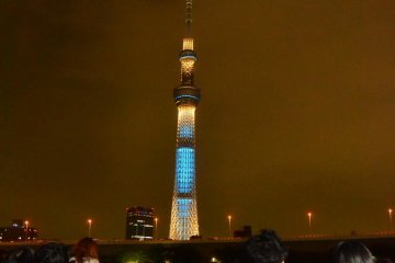 Visitors enjoying Tokyo Hotaru Festival from close up.
