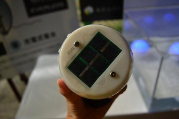 Solar sensors under the bulb.