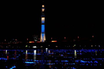 Tokyo Hotaru Festival 2013