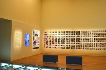 Hundreds of photos that are made from television LCD tricks.
