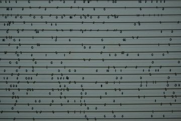 Small and tiny rings that move alongside their shadows.