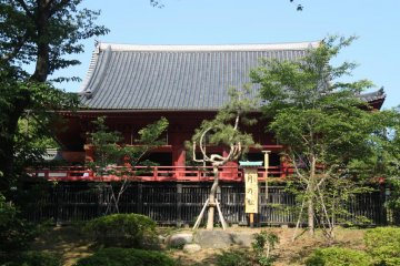 The view from the bottom of the temple looks stunning in the daytime, though it might be a bit of a climb (up and down). The Moon Pine tree is clearly seen from this point of view.