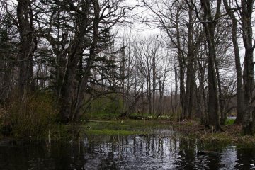 We take a break at a calm area of the river
