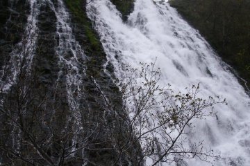<p>Oshin-Koshin Falls near the entrance to the park</p>