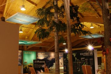 <p>Rusa Field House provides information to all visitors</p>