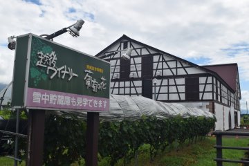 The festival centers around the winery premises