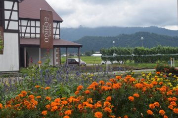 The area is incredibly scenic and surrounded by mountains