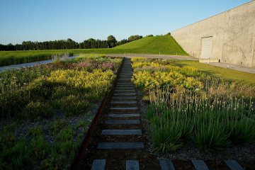 A flower garden outside the restaurant