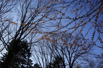 Sun is setting in Kawayu-Onsen