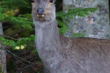 Staring contest......you and me......now!