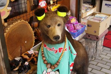 Kuma for sale!