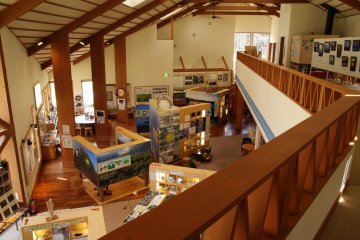 Looking down at wildlife displays and park information