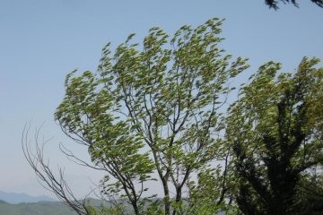 What a windy day.