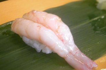 Sweet shrimp (amai ebi)