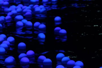 With the thousands of fireflies floating on the river, they also became a mirror to the stars of our galaxy. The Japanese word for the Milky Way, 天の川 (amanogawa), literally means the ‘River of Heaven.’