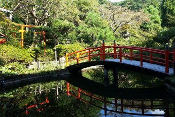 The gardens during summer