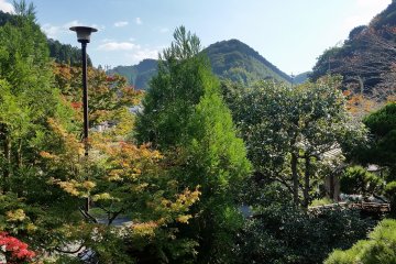 Mountain view
