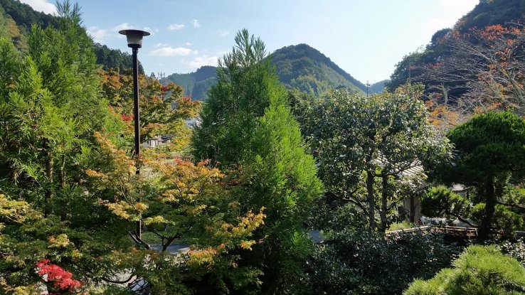Mountain view