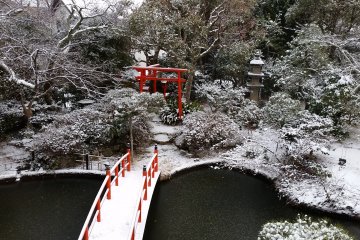 Garden view during winter