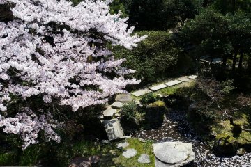 View of sakura from a 2nd-floor room