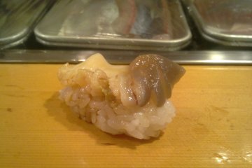 Torigai