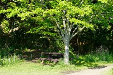 There are some cozy benches near the residential district