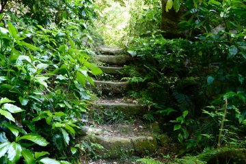 Some parts of the path are quite narrow