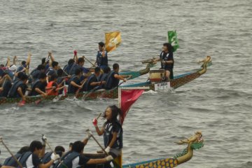 Dragon Boat Races in Yokohama