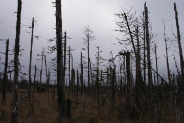 Solitude in Shunkunitai