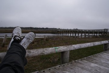 Taking a break for lunch