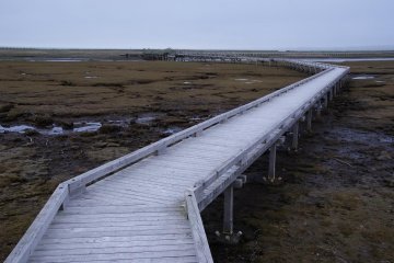 Oceanside boardwalk