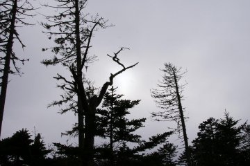 Sun tries to find its way through
