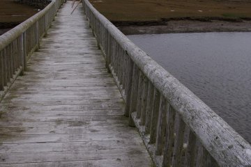 A bridge to nature