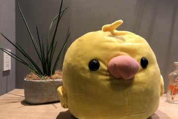 A big bird