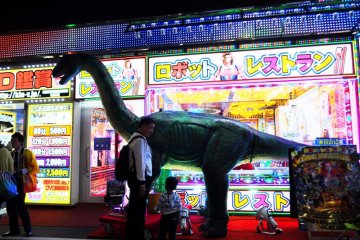 Kabukichō at Night