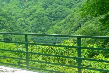 A view of Deyama iron bridge nestled in the lush green forest after departing from the switchback section