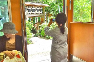 A little photographer taking advantage of a photo opportunity at one of the stops along the Hakone Tozan Railway