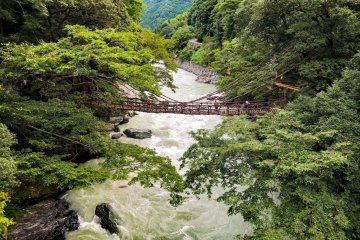 The Kazurabashi, or vine bridge