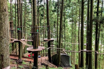 Forest Adventure