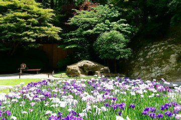 <p>The garden is surrounded by forest</p>