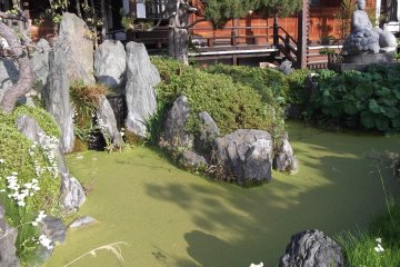 The pond in front of the worship hall at Ryuko-ji